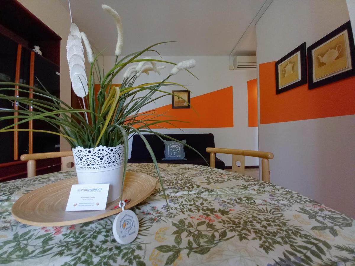Petlyapartments Bellaria-Igea Marina Eksteriør bilde